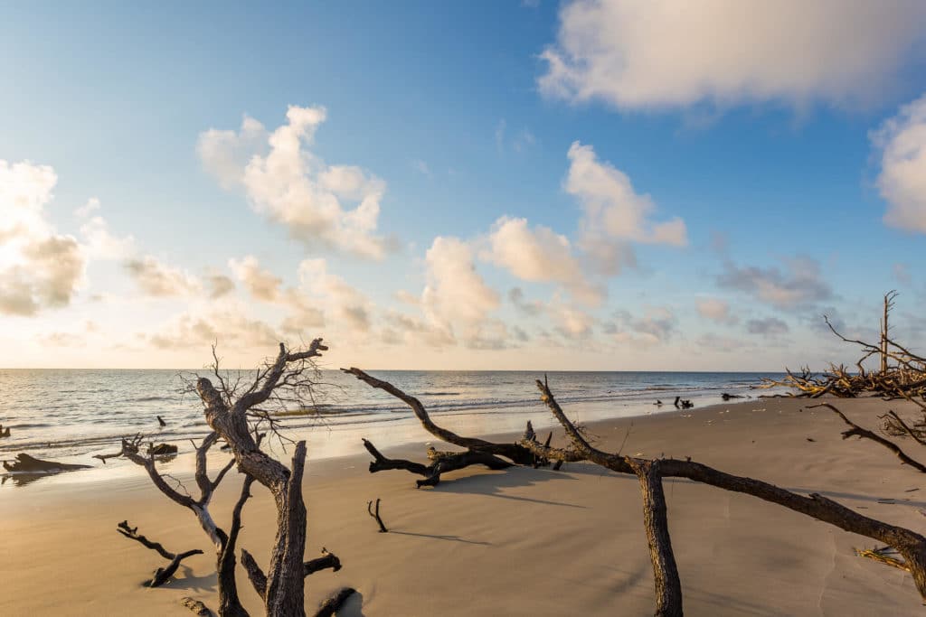Driftwood Beach is another of Georgia's Golden Isles and is one of Georgia's most romantic beaches.