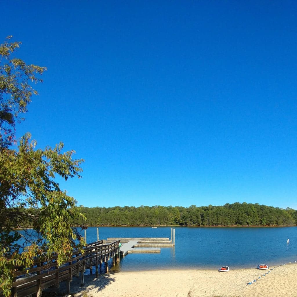 Smith Mountain Lake Beach is a gem for pets and families looking to enjoy the beach and other outdoor activities.