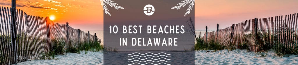 10 Best Beaches in Delaware