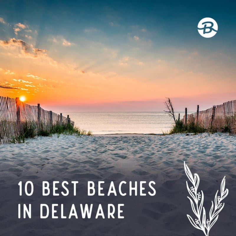 beaches in delaware featured