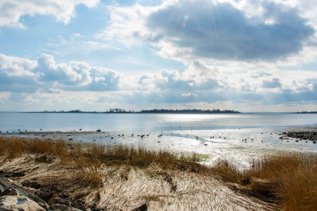 Calf Pasture Beach is a historic area that offers many water adventures.