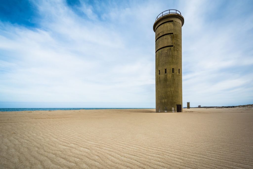 Cape Henlopen State Park has so much to offer beach bums and nature lovers.
