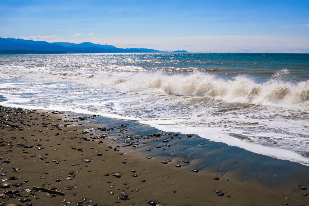 Explore the sandy beach and watch wildlife at Dungeness Spit.