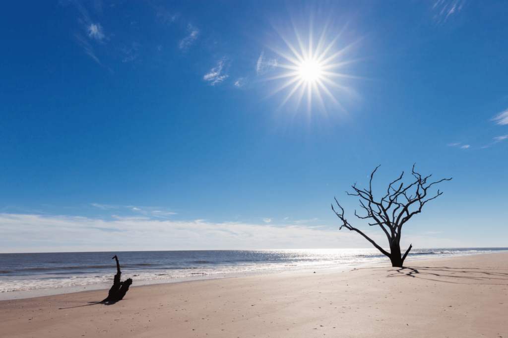 Find your zen away from the crowd at Edisto Beach State Park.