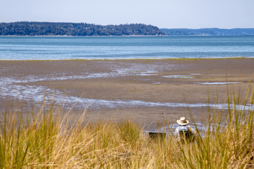 Take a ferry ride to one of Washington's most scenic beaches at Jetty Island Park.