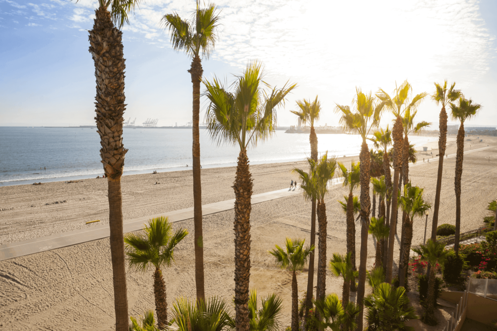 Long Beach is considered one of the most enjoyable cities in California to explore on foot. 