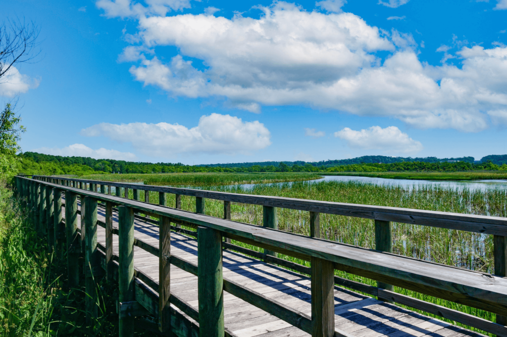 A slice of heaven near the heart of Mobile, Mehear State Park is a gorgeous location for hikers, anglers, beach-goers.