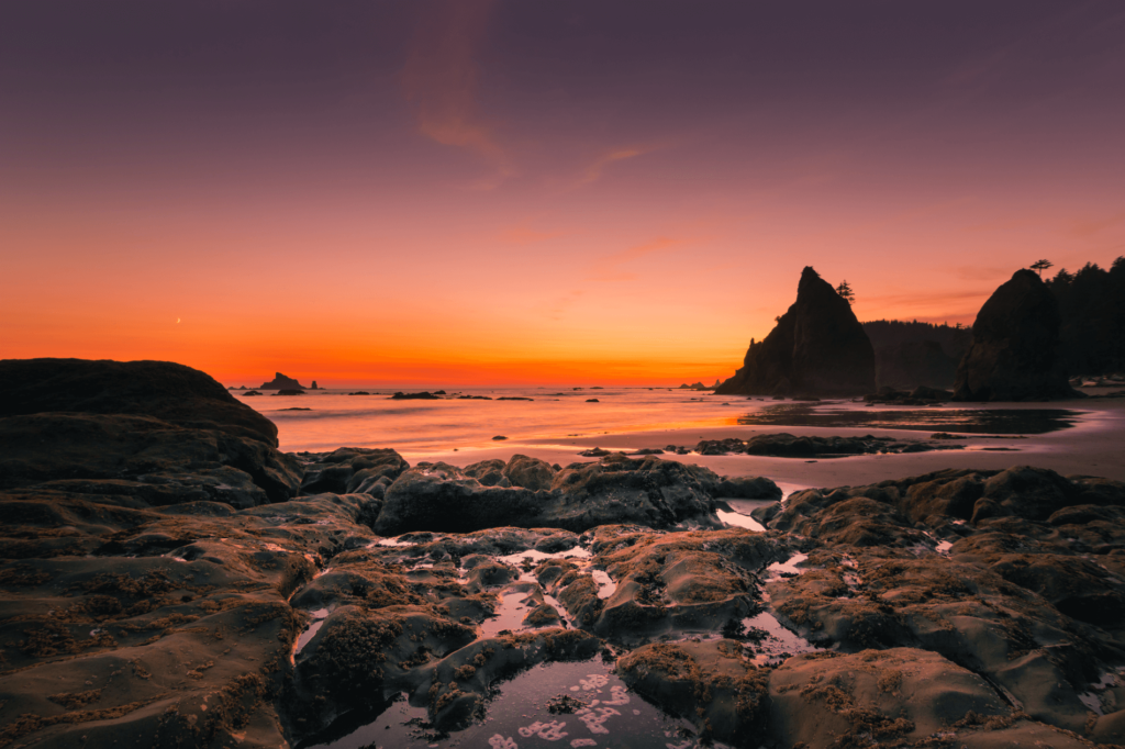 Enjoy the peaceful Rialto Beach which offers incredible views and hiking trails.