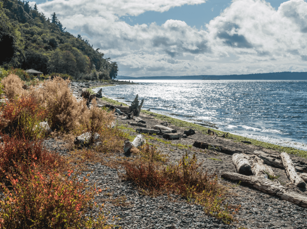 Explore nature at Seahurst Park's beach and trails.