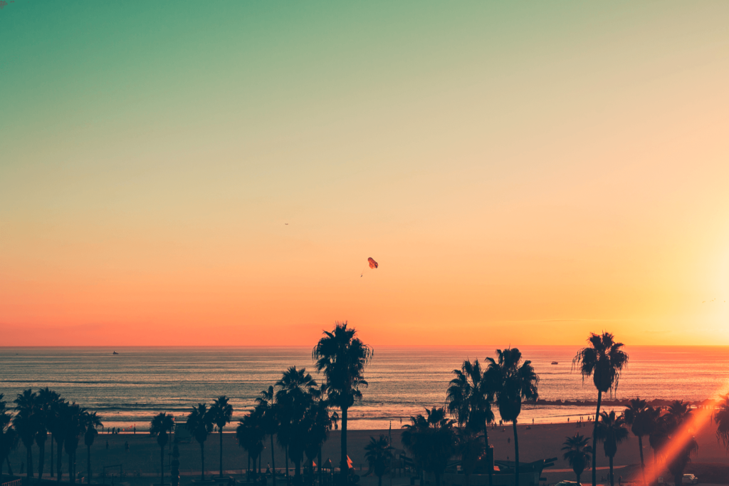Venice Beach is one of the best beaches in California for a buzzing seaside adventure.