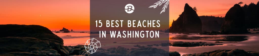 15 Best Beaches in Washington