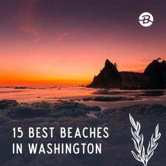 washington beaches featured