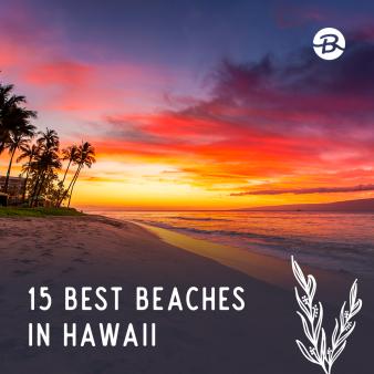 15 Best Beaches in Hawaii