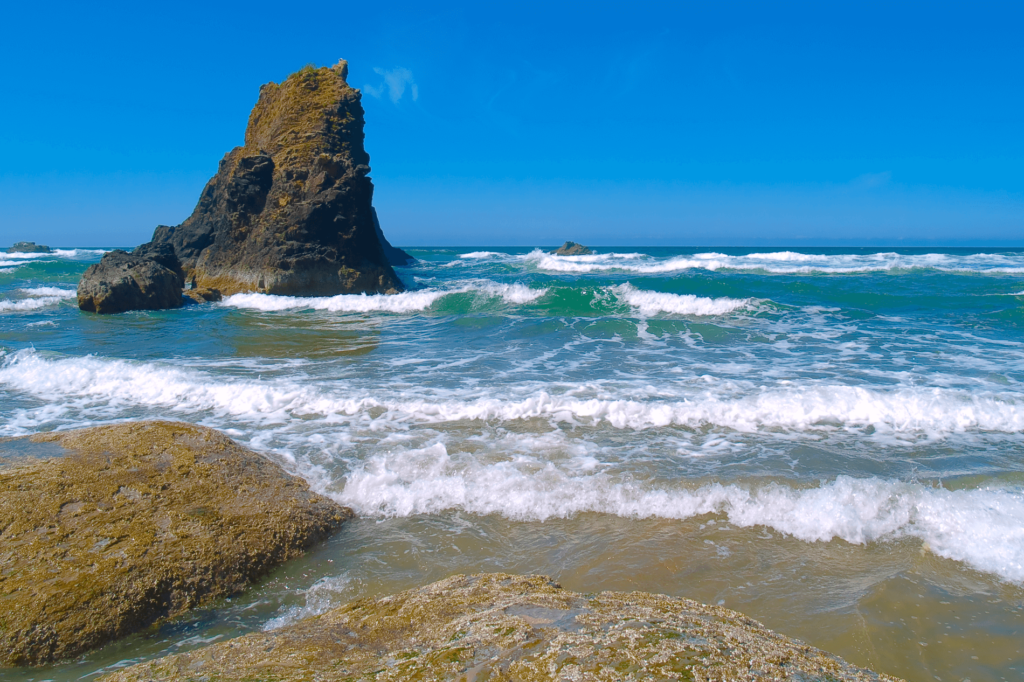 Arcadia Beach is a gorgeous spot that features dramatic rock formations and interesting sea creatures.