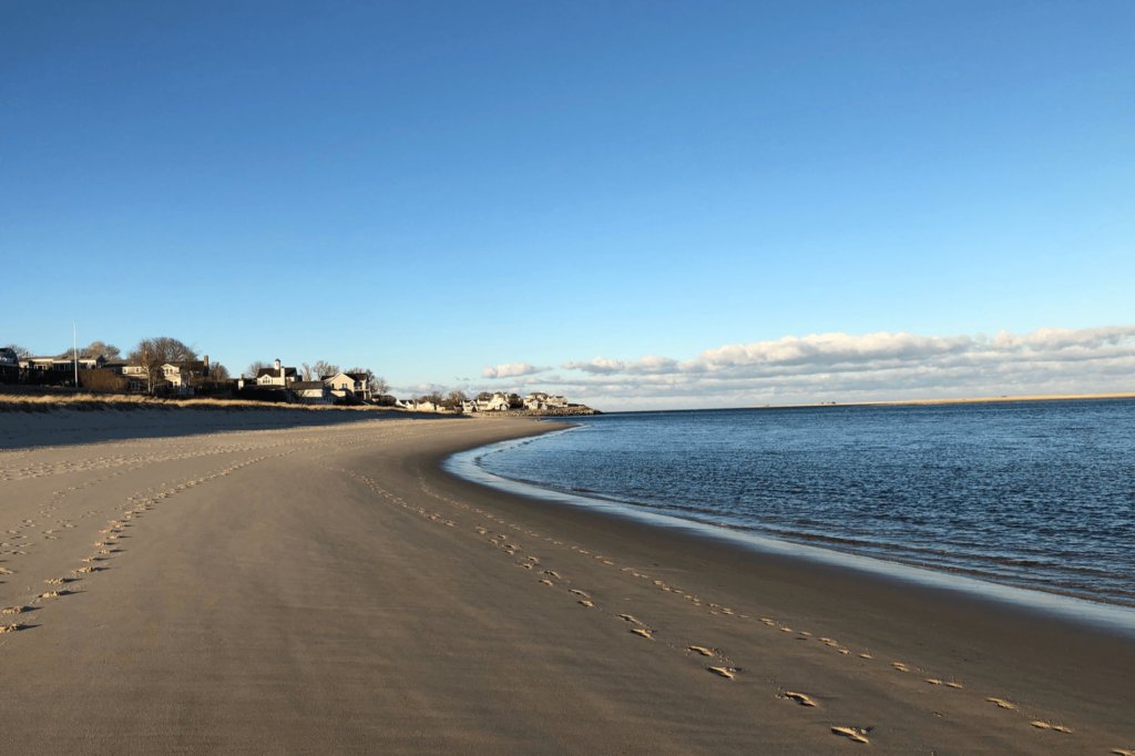 Chatham Lighthouse Beach is a great place to stroll or rest on the beach and check out the incredible wildlife.