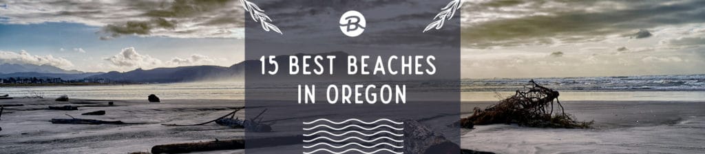 15 Best Beaches in Oregon