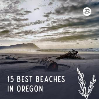 15 Best Beaches in Oregon