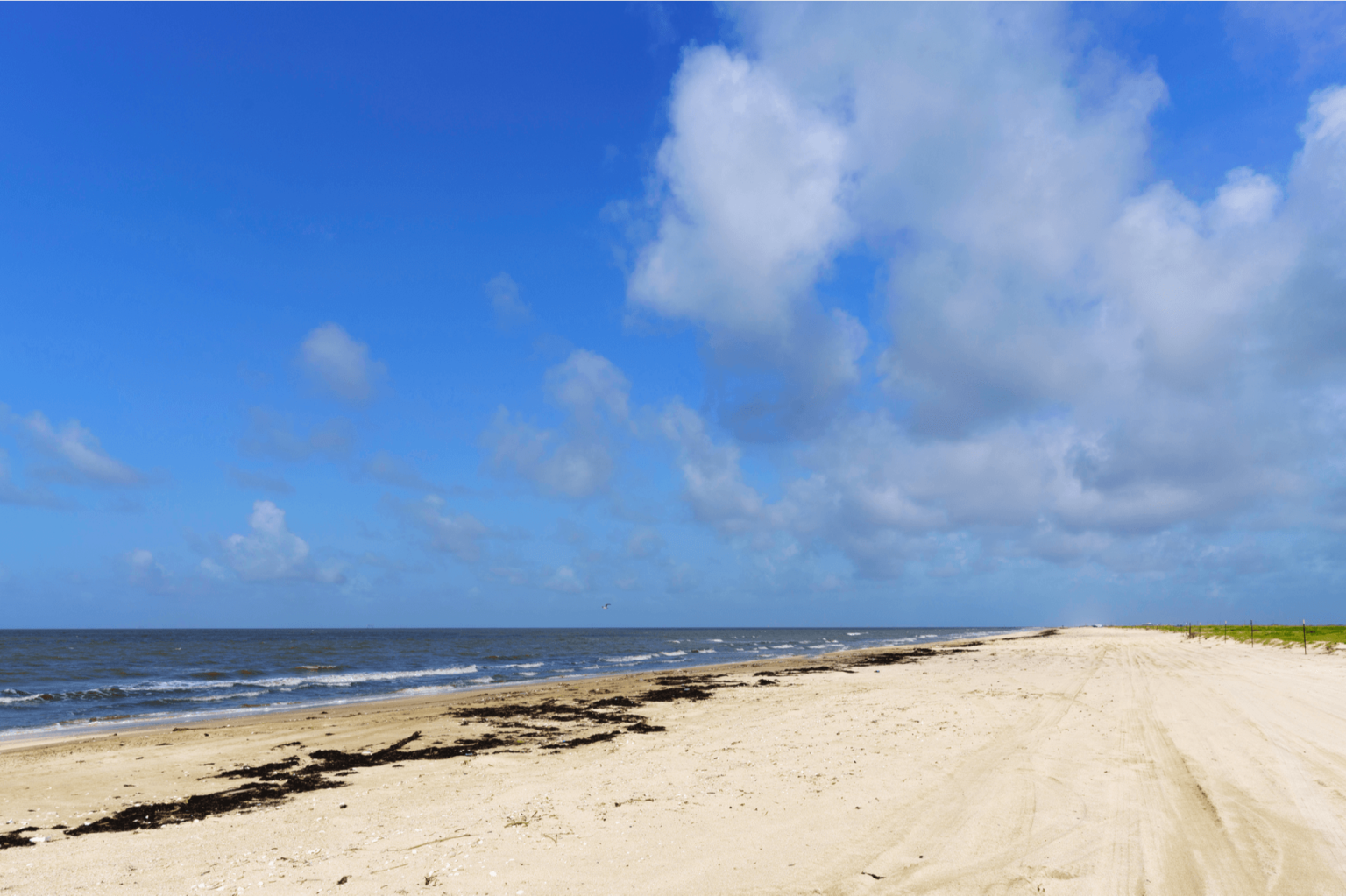 15 Best Louisiana Beaches