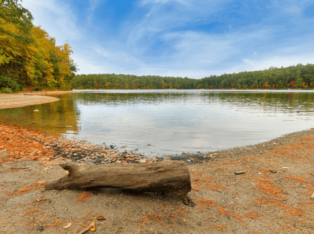 The idyllic Walden Pond is what famously inspired Henry David Thoreau's book, Walden. 