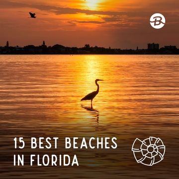 15 Best Beaches in Florida
