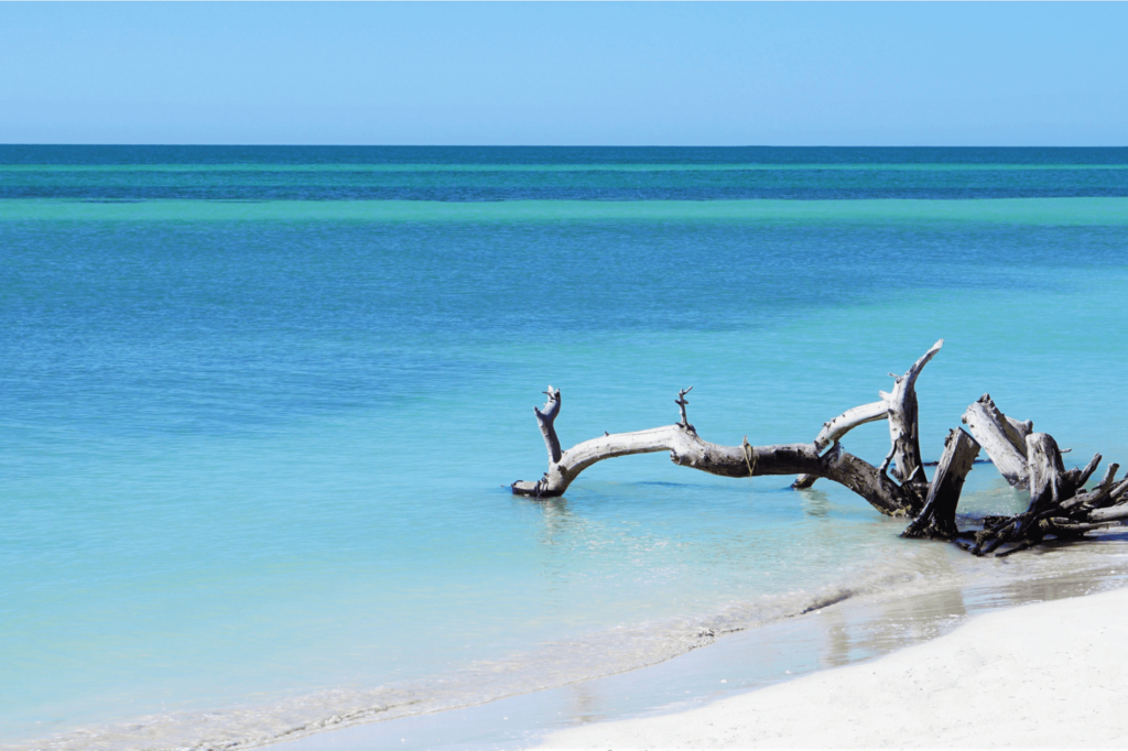 Bahia Honda State Park is family-friendly and features flowing palm trees, light-blue water, and soft bright sand.