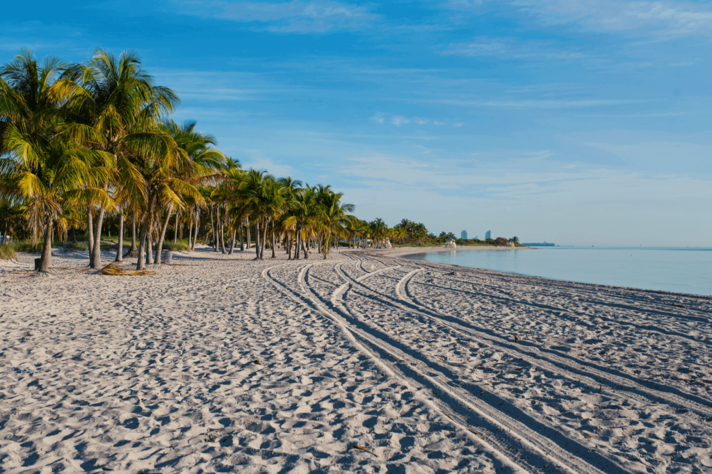 Crandon Park’s well-preserved coast and crystal clear water is a Florida treasure. 