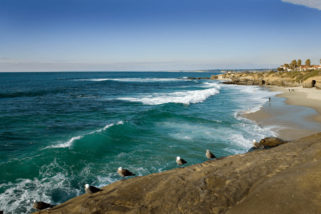 La Jolla Shores Beach is a great place to relax or enjoy water activities.