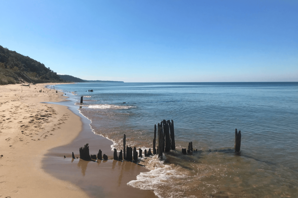 Saugatuck Dunes State Park Beach is one of the most stunning and unique Michigan beaches and is well worth the short and beautiful hike.