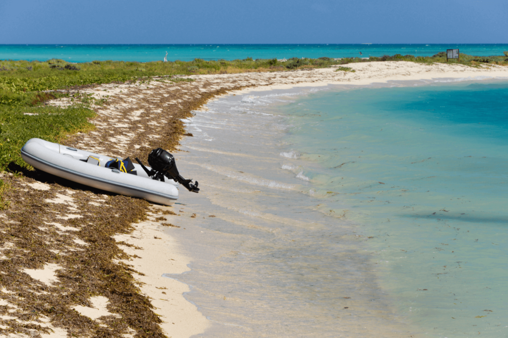 Dry Tortugas National Park is off the beaten path and features two beaches, remote camping, and incredible snorkeling opportunities.