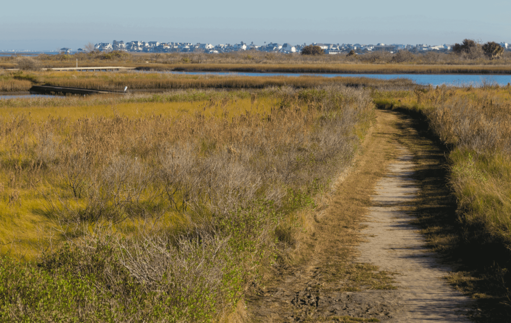 Galveston Island State Park is a large park that boasts a beautiful shoreline and many outdoor activities.