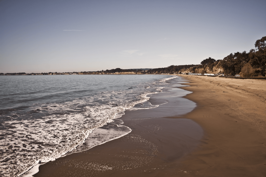 Situated on Monterey Bay, find 95 acres of beach fun at New Brighton State Beach.
