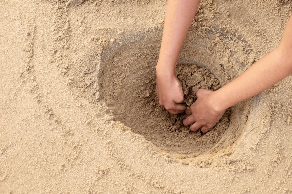 How to build a sandcastle: choose your location, right the right sand, dig your water hole, prepare your sand, and start building.