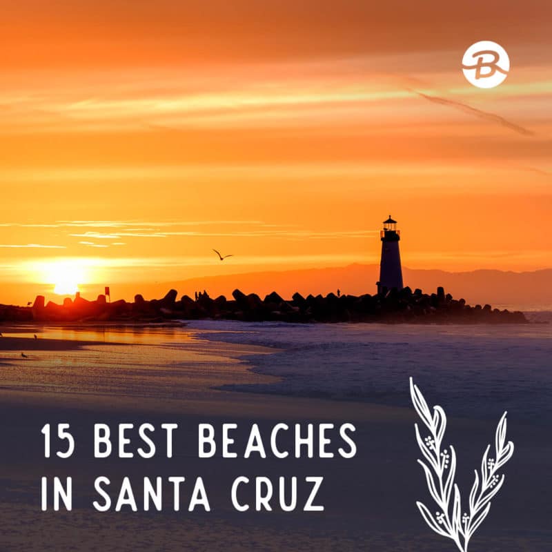15 Best Beaches in Santa Cruz