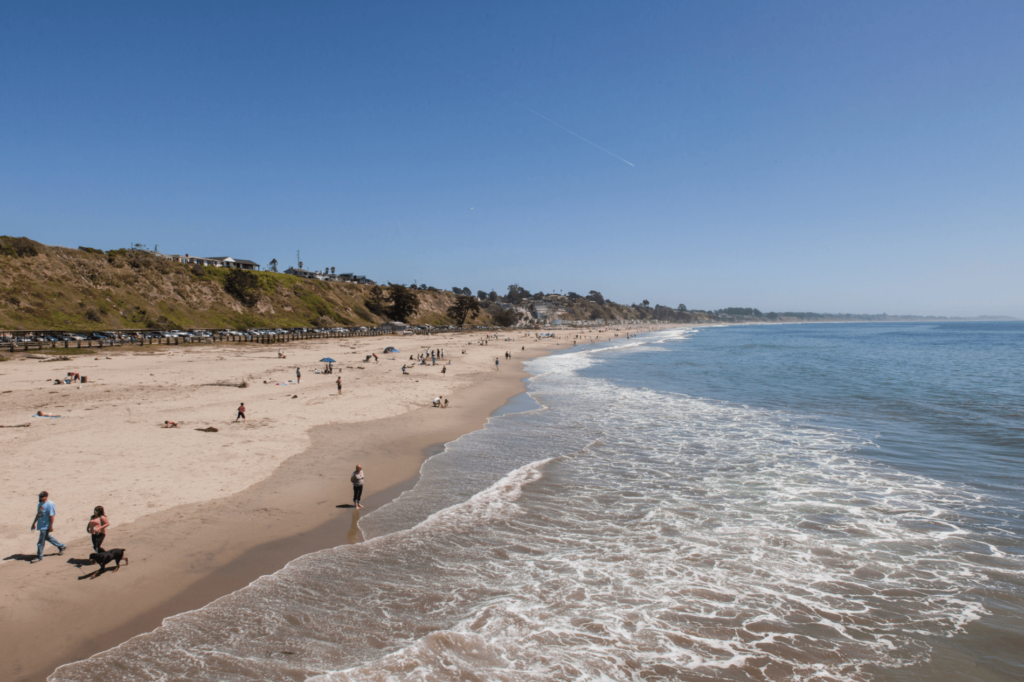 Seacliff State Beach is the ideal spot to relax, explore, and fish in Santa Cruz.