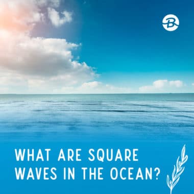What Are Square Waves in the Ocean?