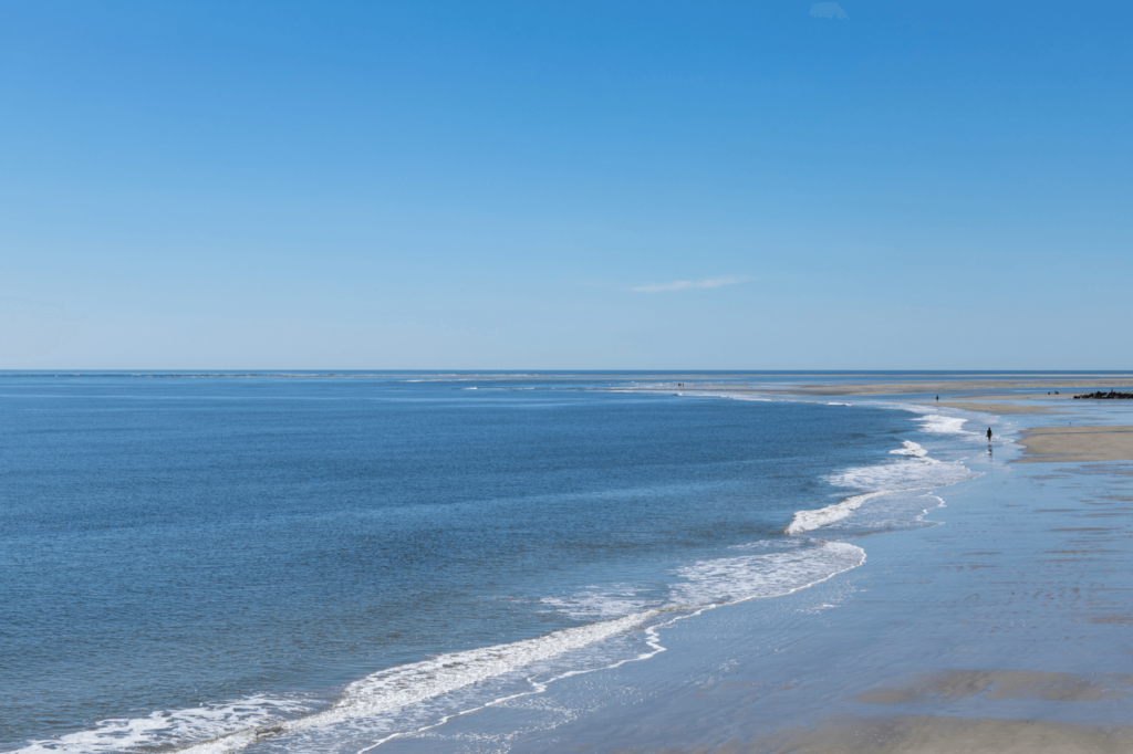 Georgia's best East Coast beach is less than an hour from Savannah. 