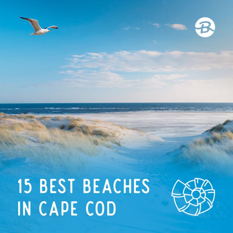 15 Best Beaches in Cape Cod