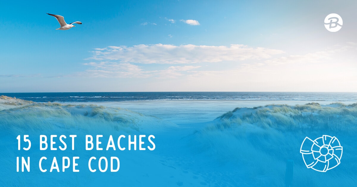 15 Best Cape Cod Beaches Beachfix