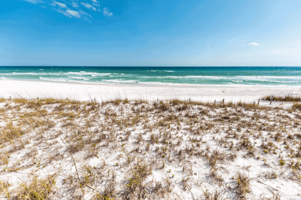 Destin is home to some of the best fishing in the Florida Panhandle and offers tons of fun activities.