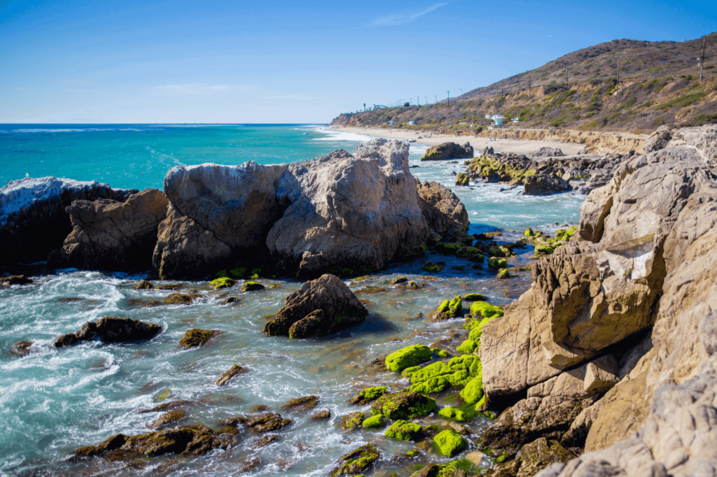 Leo Carrillo State Park is home to one of the only dog-friendly beaches in Malibu (Staircase Beach).