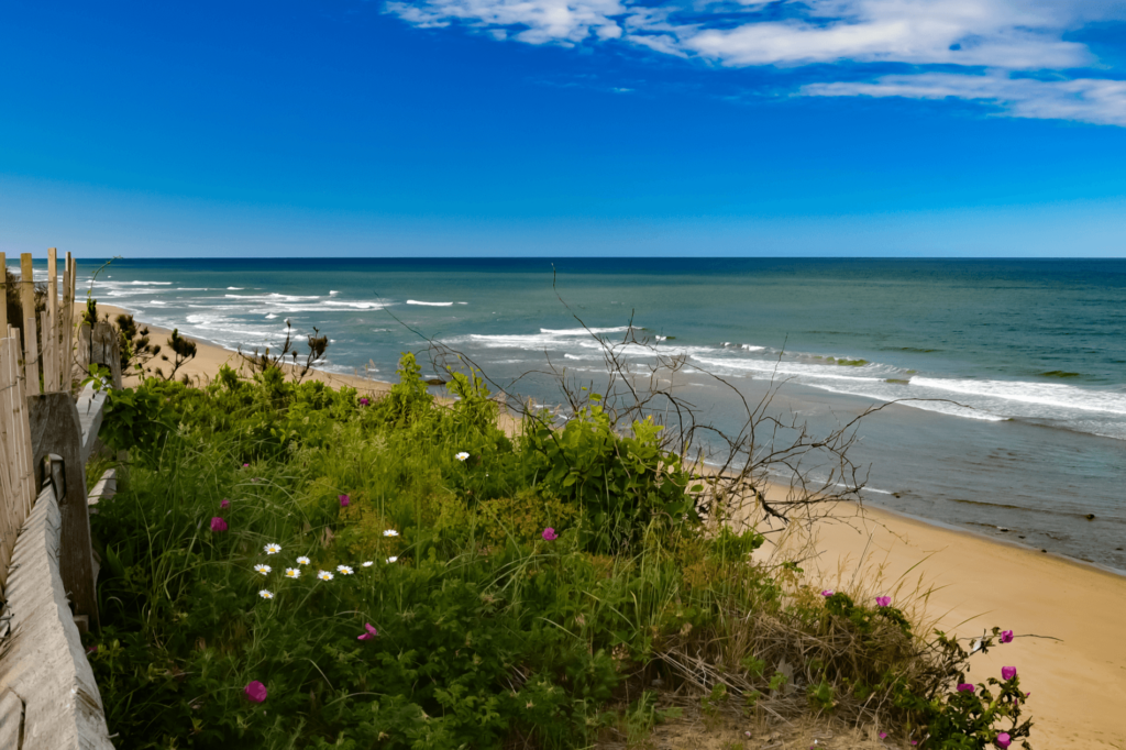 Nauset Light Beach is a prime surfing destination with some of the tallest waves on the Cape. 