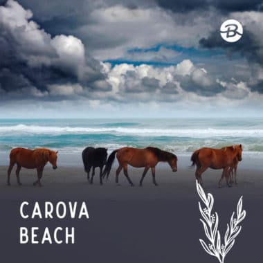 Carova Beach