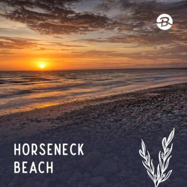 horseneck beach featured