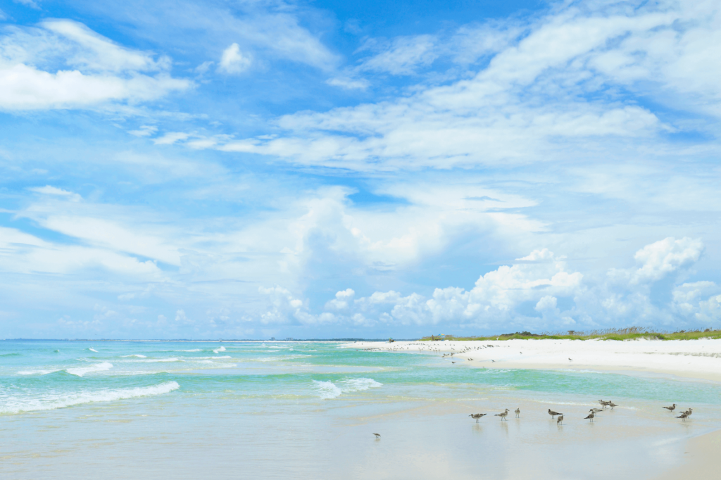 Pensacola Beach is the perfect destination if you're looking for the ultimate beach day or vacation.