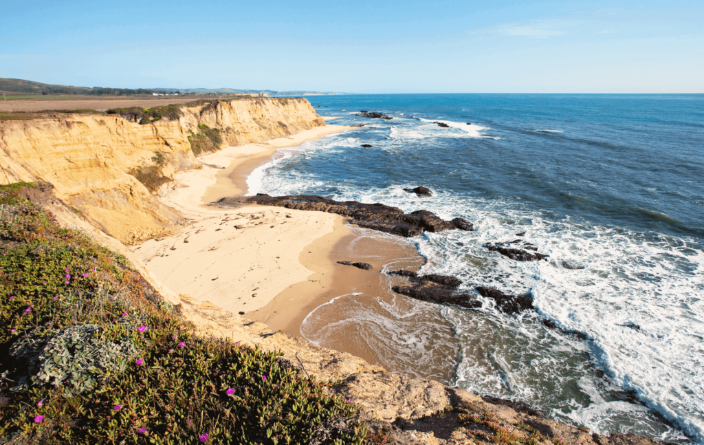 Surfers, campers, and bird watchers love visiting Half Moon Bay.